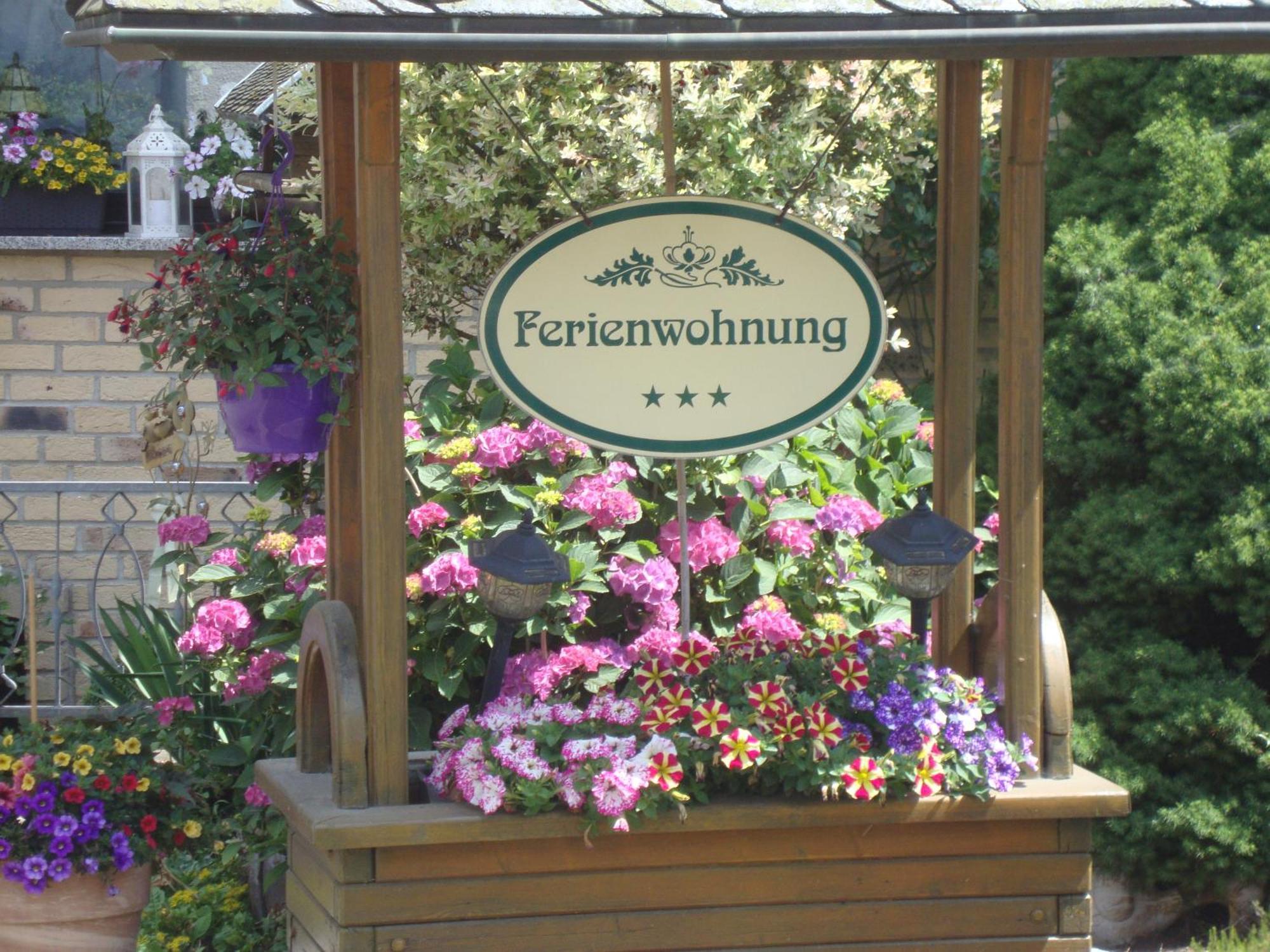 Eifelferienwohnungen "Familie Saxler" Bereborn エクステリア 写真